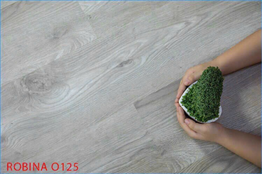 Sàn Gỗ Robina mã màu 0125 dày 8mm